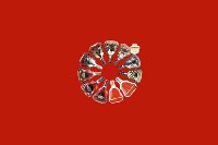 安阳市文峰区回收红酒